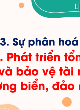 Bài 20. Phát triển tổng hợp kinh tế và bảo vệ tài nguyên, môi trường biển, đảo (Phần I)